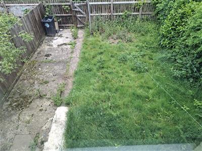 Picture 12